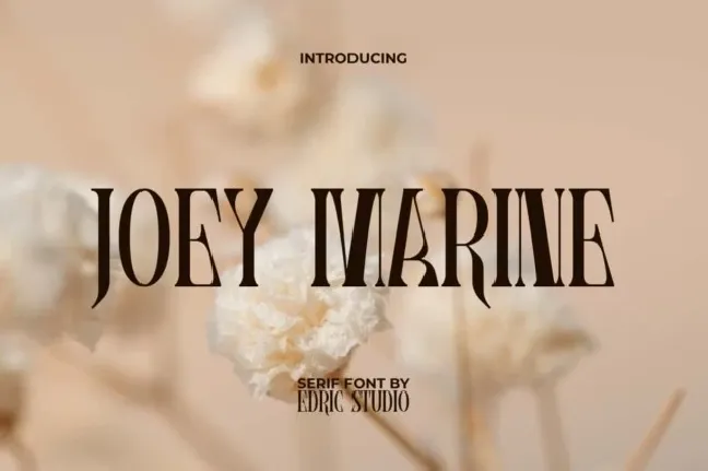 Joey Marine font