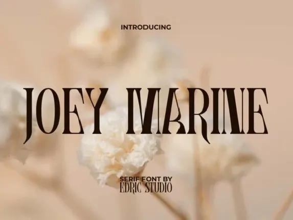 Joey Marine font