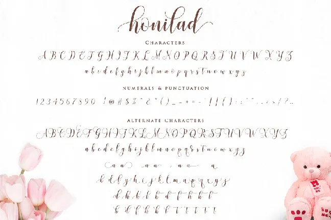 Honilad Script Free font