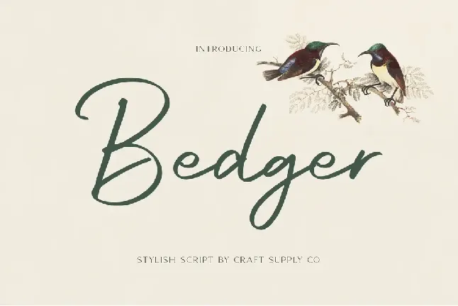 Bedger demo font