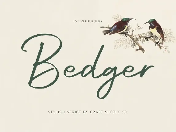 Bedger demo font