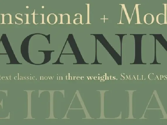 Paganini Family font