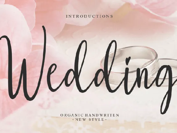 Wedding Script Typeface font