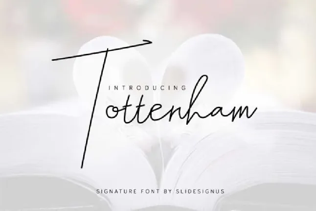 Tottenham font