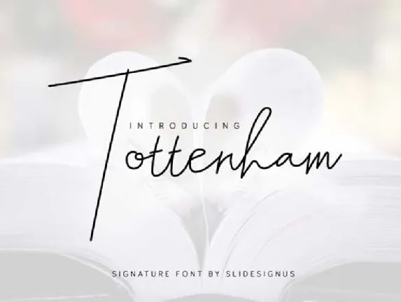 Tottenham font