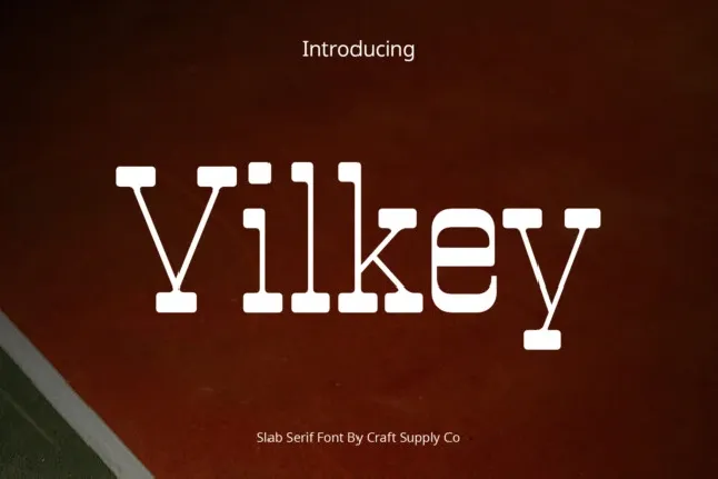 Vilkey font