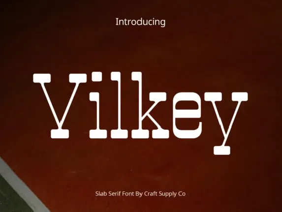 Vilkey font