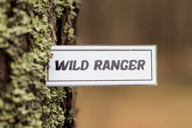 Wild Ranger font