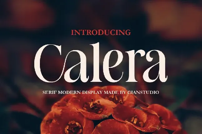 Calera font