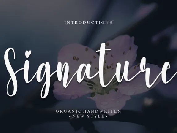 Signature Typeface font