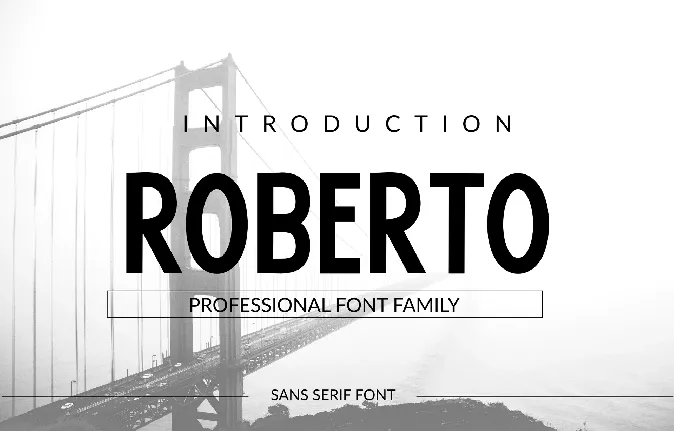 Roberto font