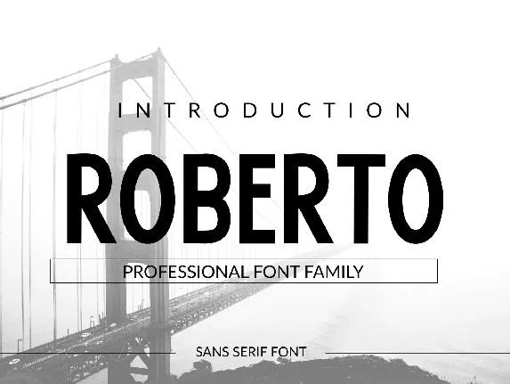 Roberto font