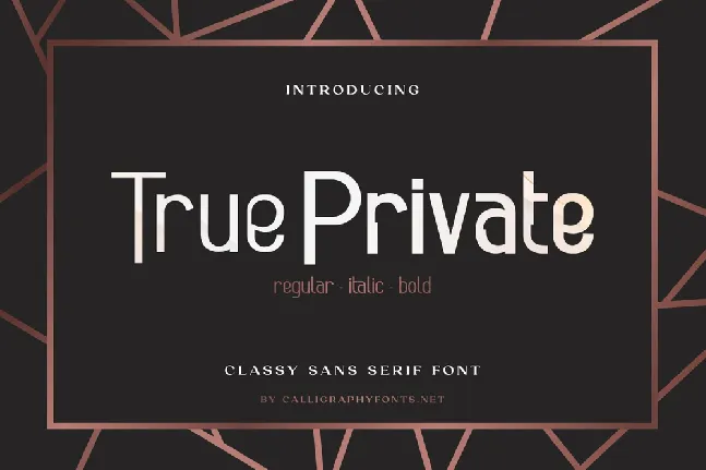 True Private font