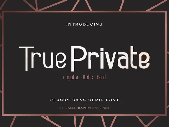 True Private font