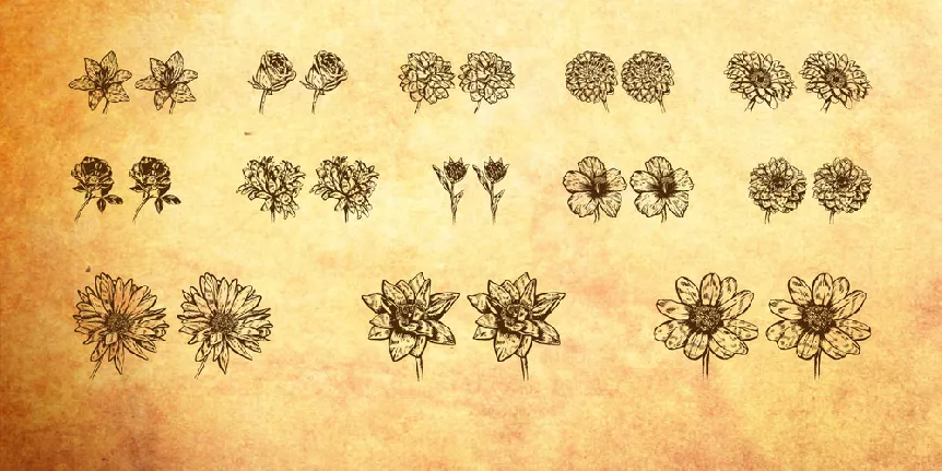 Blumen font