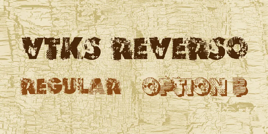 VTKS REVERSO font