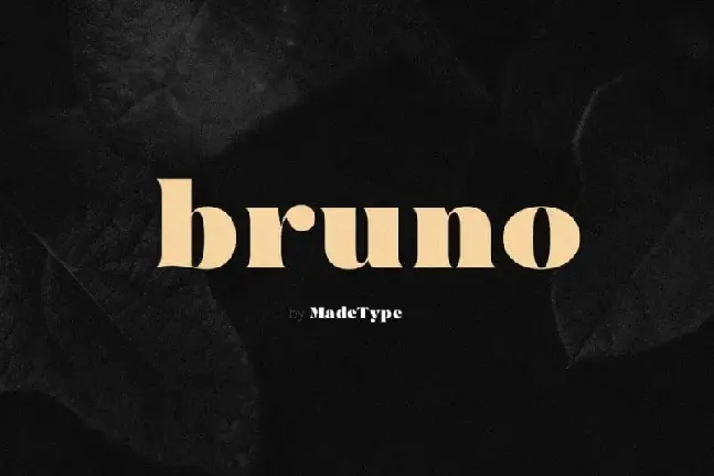 MADE Bruno Serif font