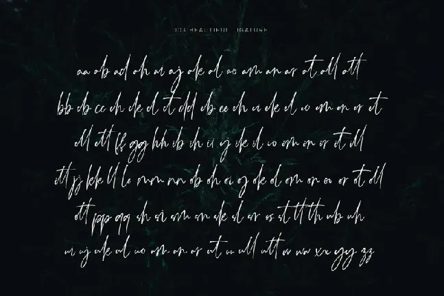 Monatta Signature font