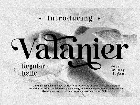 Valaneir font