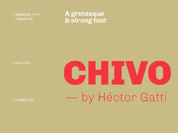 Chivo Sans Serif Family font