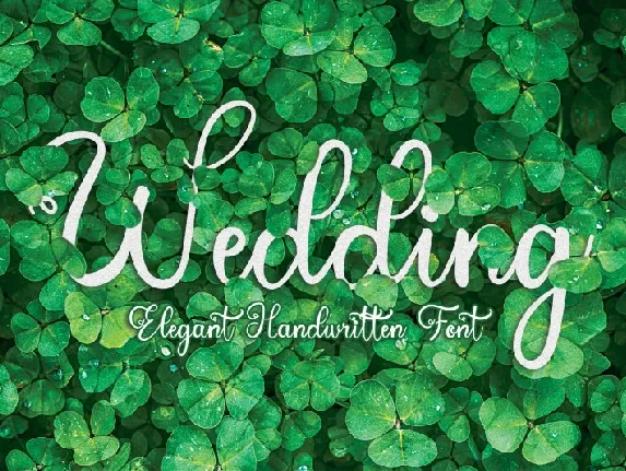 Wedding Calligraphy font