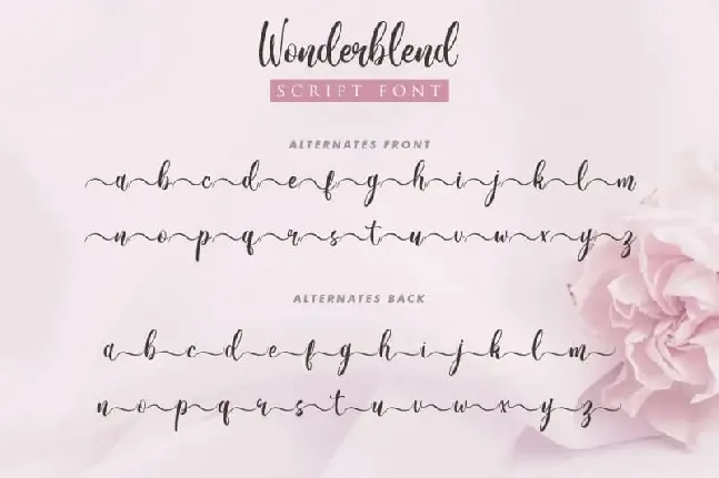 Wonderblend Calligraphy font