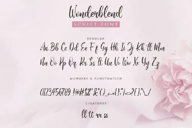 Wonderblend Calligraphy font