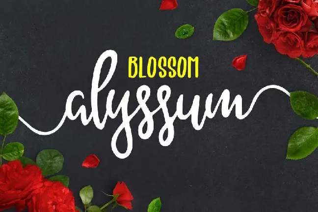 Alyssum Blossom Script Free font