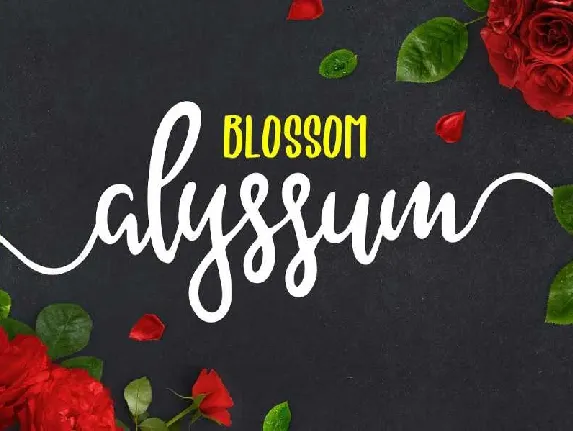 Alyssum Blossom Script Free font