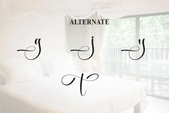 Homestay Calligraphy font