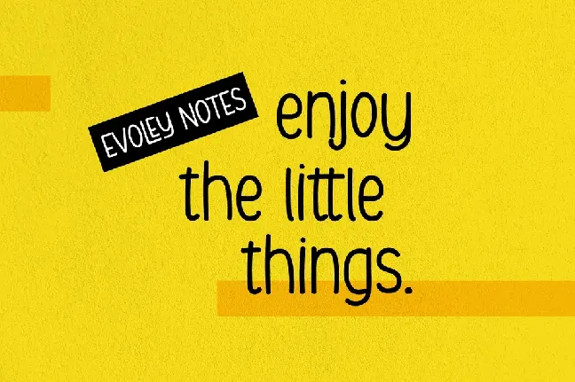 Evoley Notes font