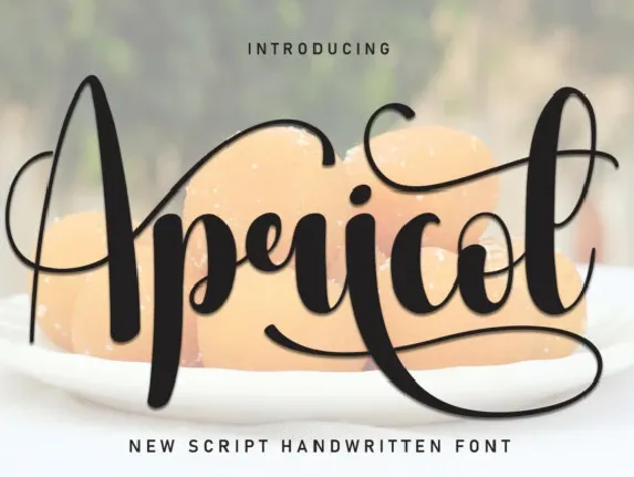 Apricot Script Typeface font