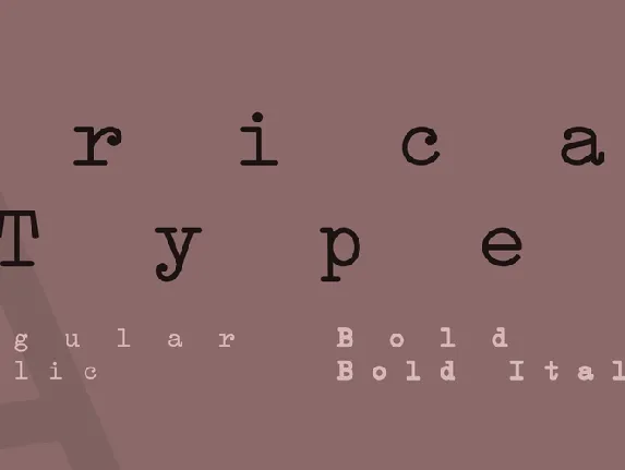 Erica Type font