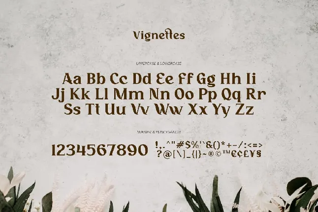 Vignettes font