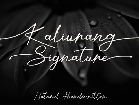 Kaliurang Signature - Personal font