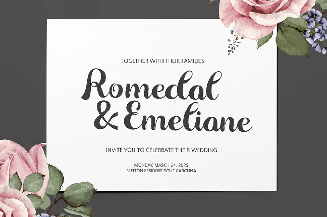 Linsela Script font