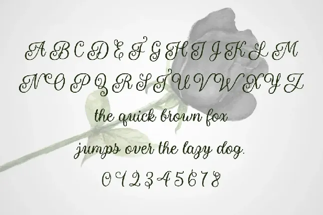 Naryssa font