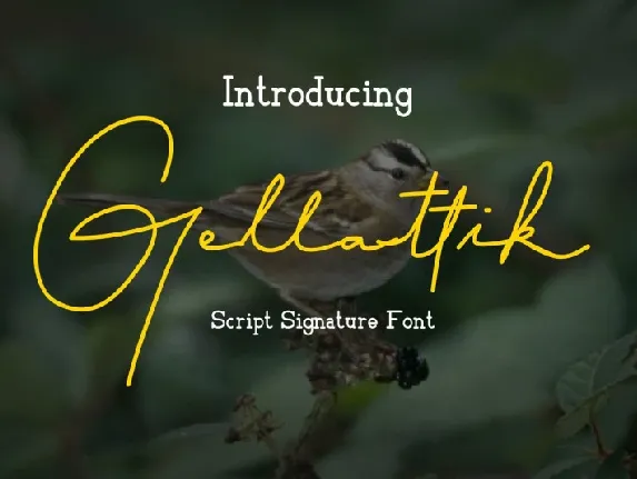 Gellattik Signature font