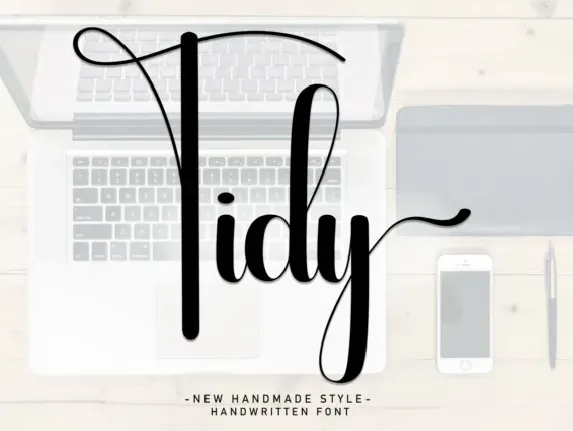 Tidy Script font