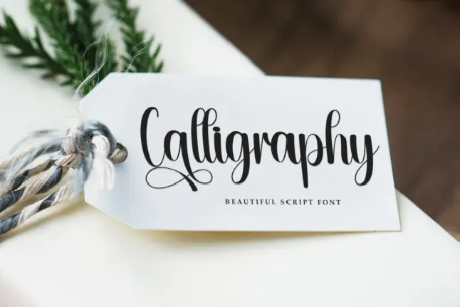 Plunge Script font