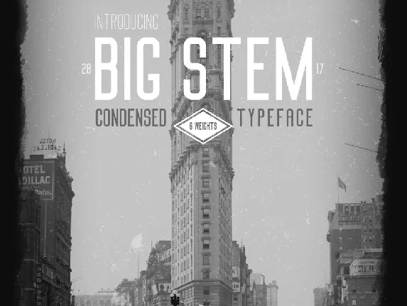 Big Stem Family font