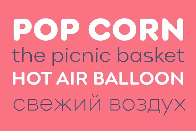 Point Soft Family font