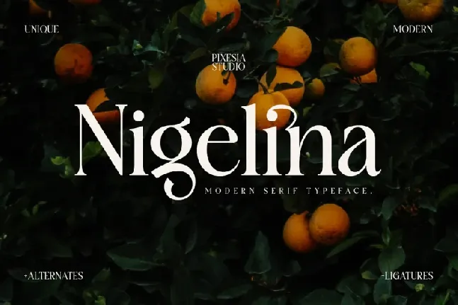 Nigelina font