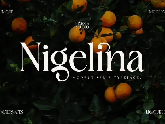 Nigelina font