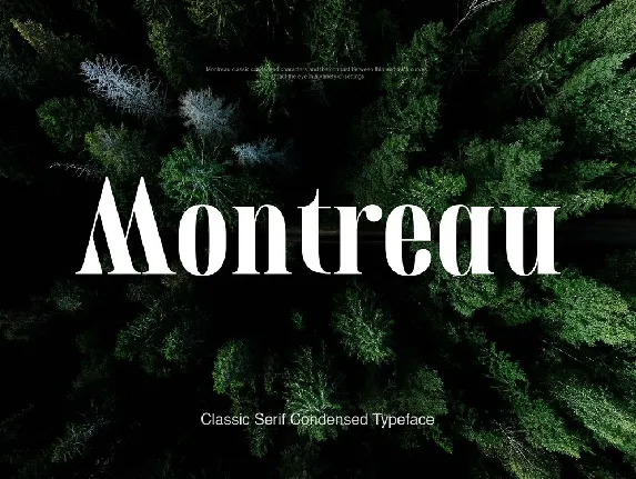 Montreau Serif font