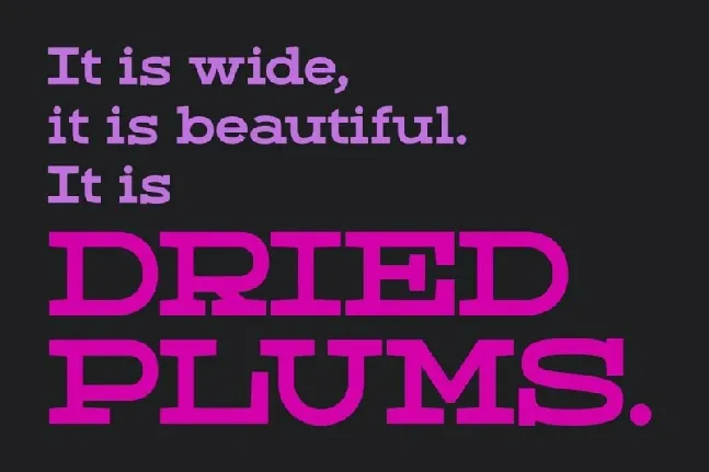 Dried Plums font