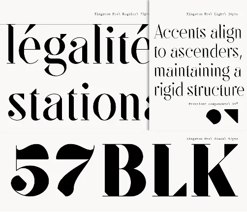 SF Kingston Family font