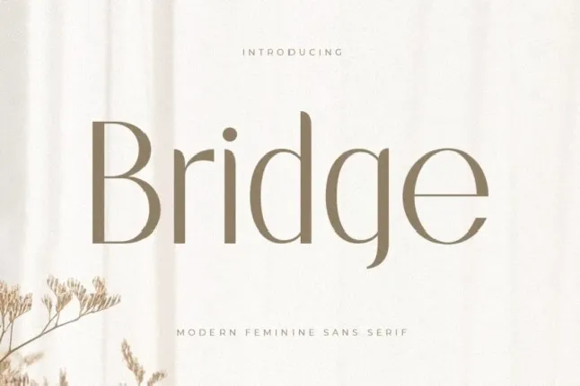 Bridge Sans Serif font