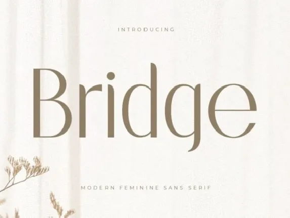 Bridge Sans Serif font