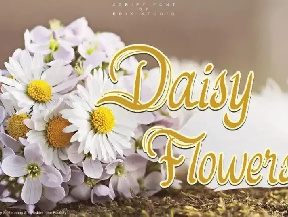 Daisy Flowers Script font